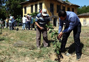 15 Temmuz şehitleri için 250 fidan